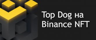 TOP DOG на бинансе