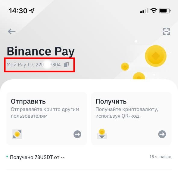 Pay id Biannce