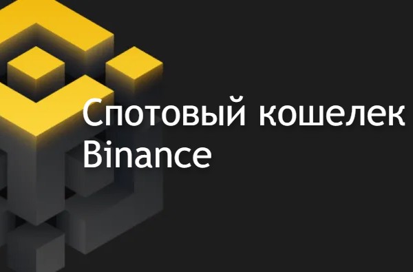 что такое спотовый кошелек бинанс